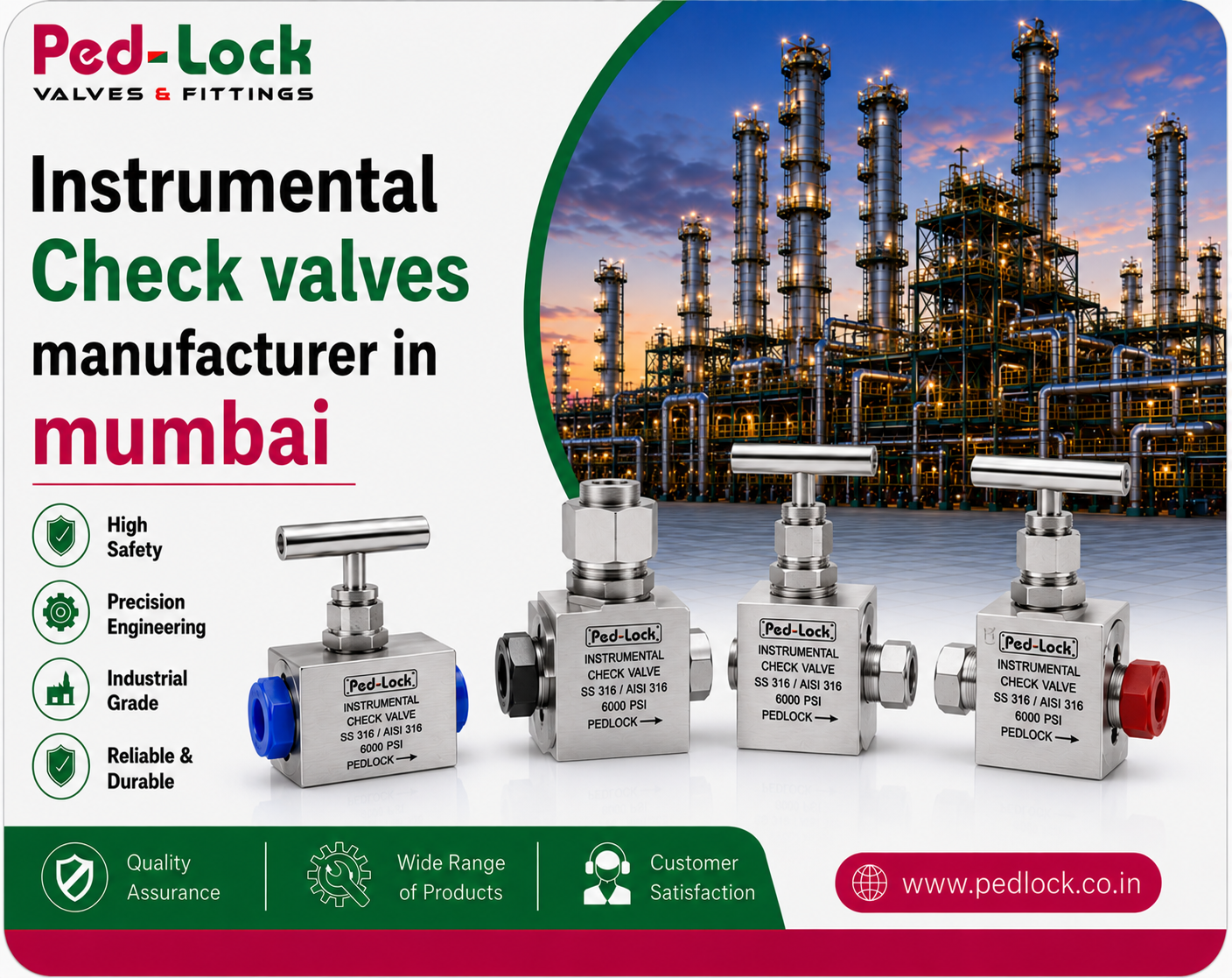Instrumental check valves manufacturer in Mumbai