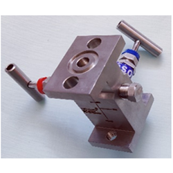 2 Way Manifolds Valves Manufacturer