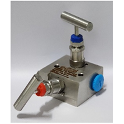 2 Way Manifolds Valves Manufacturer