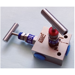 2 Way Manifolds Valves Manufacturer