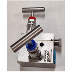 2 Way Manifolds Valves Manufacturer