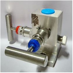 2 Way Manifolds Valves Manufacturer