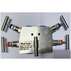 5 Way Manifolds Valves Manufacturer