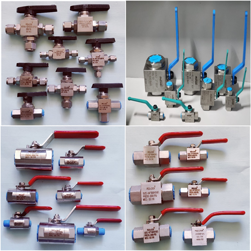 SS Ball Valves manufacturers